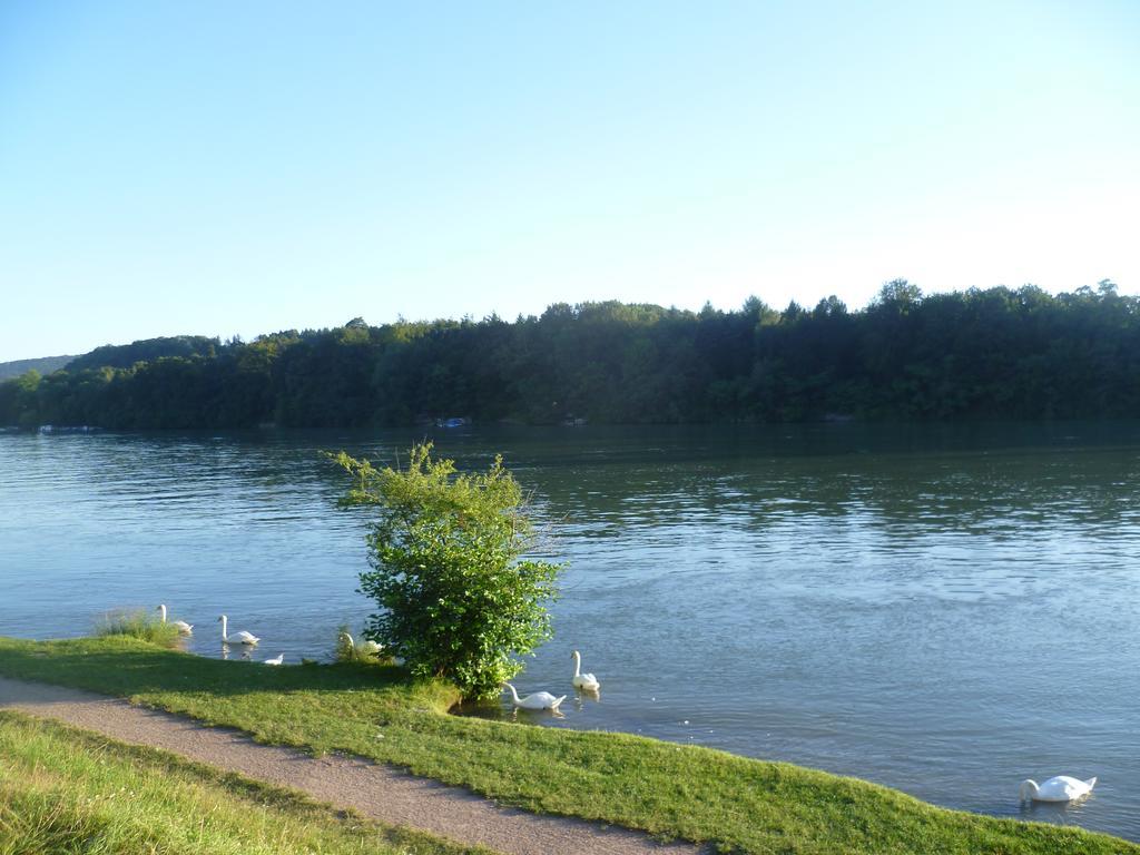 Sonne * Bad Säckingen