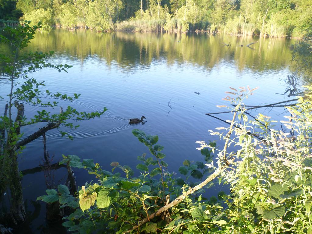 Storchennest Homestay Bad Sackingen