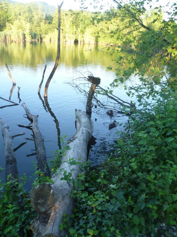 Privatunterkunft Sonne *