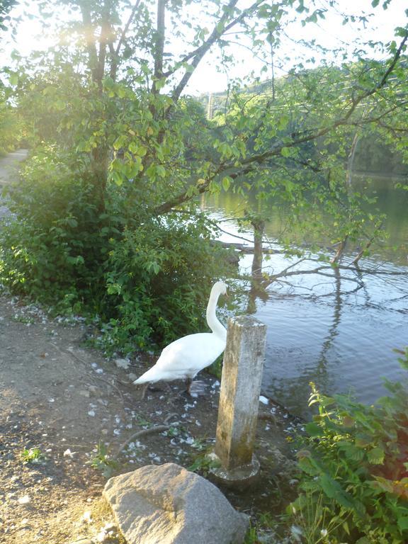 Storchennest Homestay Bad Sackingen