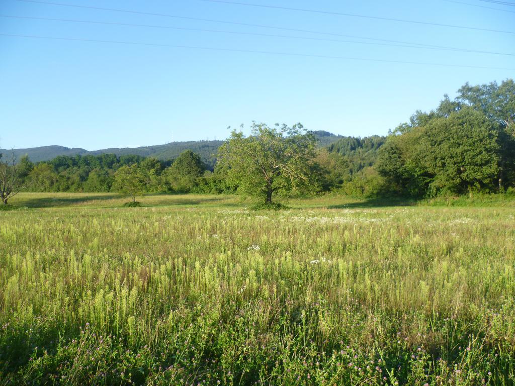 Storchennest Bad Sackingen